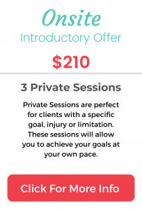 Intro Offer 3 Private Sessions